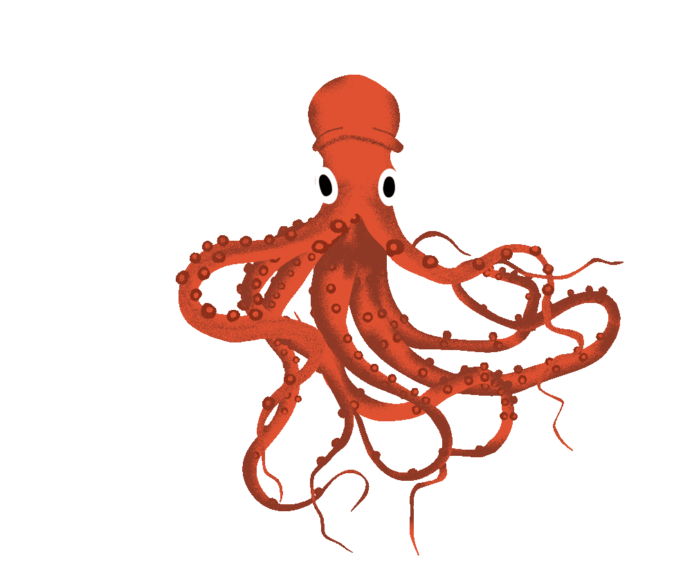 Octopus nautilux